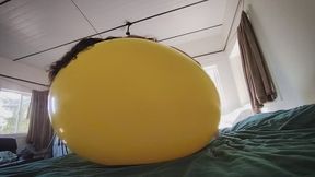 85 Giant Cattex Balloon Nonpop