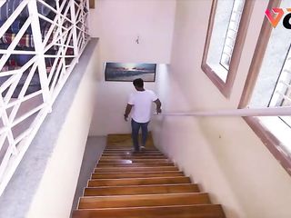 Abode Owner Lady