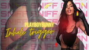 PlayBoy Bunny : SNIFF SNIFF GOON