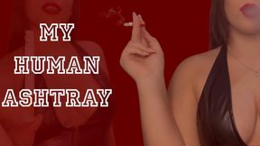 Ita version - My human ashtray