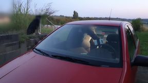 He drives me from behind &#x2014; intense anal&#x1F44C; in the car