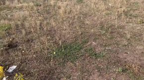 She Knew What She Was Getting Into