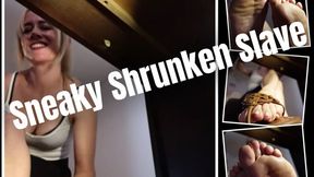 Sneaky Shrunken Slave