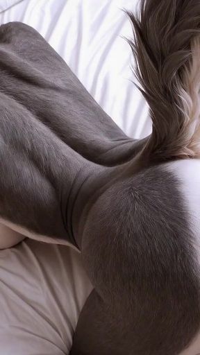 Furry Shemale with Big Cock Fuck Furry Trans