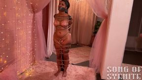 Secret Agent Bound In Microbikini