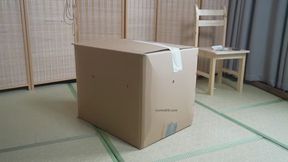 lz40-The girl struggled as she was put into the box.