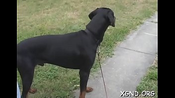 Nude beauty in non-professional scenes ready for severe hardcore sex