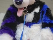 Johnny Huskey - Paw off and cum :3
