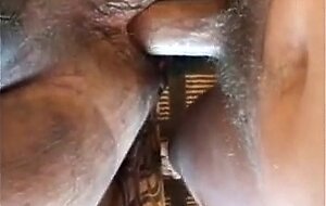 Bareback Bear Pounding