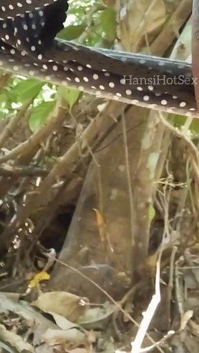 Spectacular moment from &quot;Sri Lankan Outdoor Sex - Real Couple&quot;