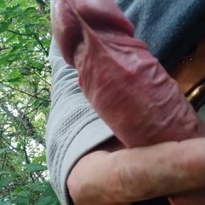 Outdoors big dick pov shot