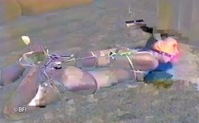 Kristas struggle and bondage - DVD