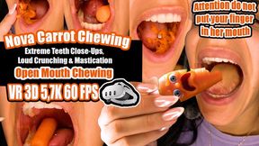 VR 3D 8K | Nova in the Car: Open Mouth Carrot Chewing – Extreme Teeth Close-Ups, Loud Crunching & Mastication, Perfect Teeth Crushing, Mouth Fetish, Open Mouth Chewing, Teeth Worship, Carrot Crunch ASMR