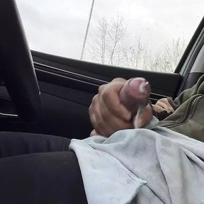 Cumming inside de car at rest place