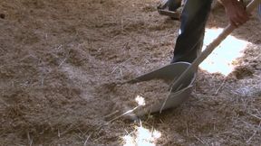 Piss Drenched Threesome BBC Pounding Sloppy Holes