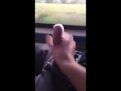 Big Dick Blowjob in a Bus