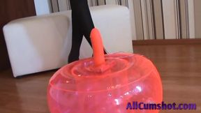 She got a new toy
