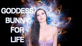 Goddess Bunny For Life