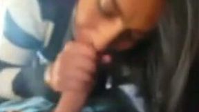 Beautiful dark skin Arab college girl giving amazing head on cam