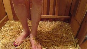 Sissy Wanking in Her Stable