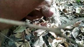 Big Hard Cock Masturbation in Village Outdoor