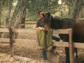 Falcon Bareback 16: Raw Outdoor Balling