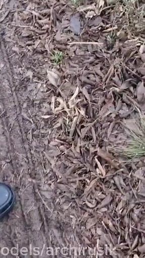 I Caught a Passenger Jerking off in the Back Seat, and I Fucked Him for It and Left Him on the Highway