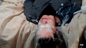 Double Bukkake Drenching Facial cumshot compilation