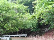 Transgender and urinated outdoors on an abandoned road