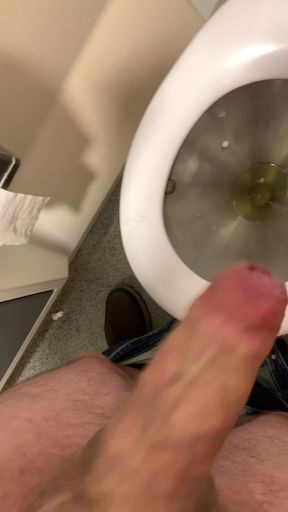 Jerking off on the train - I couldn't hold it anymore in the ICE