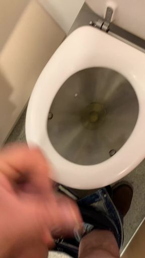 Jerking off on the train - I couldn't hold it anymore in the ICE