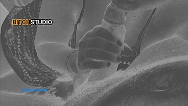 Sinhala Wife give Jerk Off Instruction