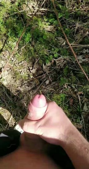 Quick outdoor cumshot