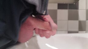 Amateur big cocks jerk off caught in public washroom masturbation