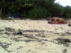 Beach Love Motion: Outdoor Amateur Fun