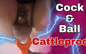 Cock &amp; Ball Cattle Prod