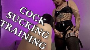 COCK SUCKING TRAINING (1080p)