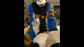 superb kitty porks the cum out of the bad dog then blows a load mitts free-for-all-for-all