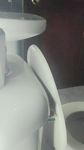 Stepsister Trapped in Public Toilet with Skirt and Sheer   Clip 1