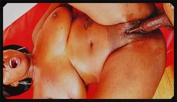 Black Pussy Likes It Doggy Style Recommended