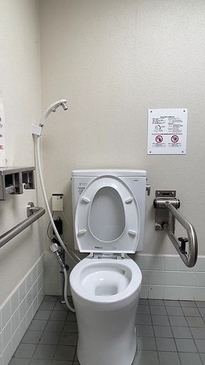 No. 200 Peeing in a Public Restroom