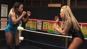 Old School Submission 3 - Josie vs VHawk
