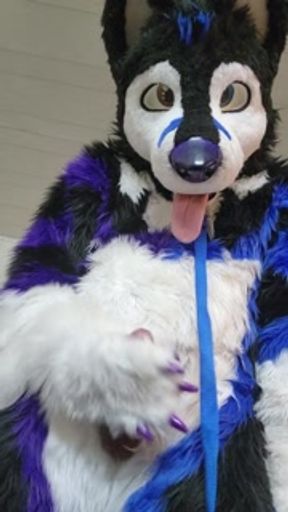 Johnny Huskey - Paw off and cum :3