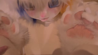 Furfunfurry vol.1 - PV