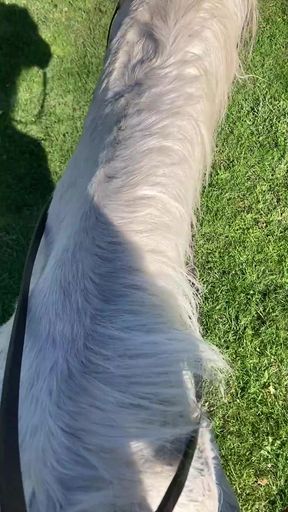 Dominant women take control in bareback action