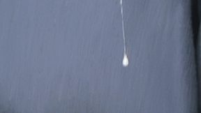 Crosseuse expérimentée (mp4)