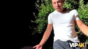 VIP4K Picnic Seduction