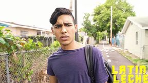 Numero 28 - LatinLeche