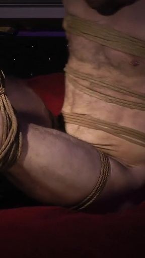 Beautiful Guy Tightly Roped: Trying to Escape