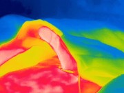 Thermal camera erection, feel the warmth of my cock and see the white hot cum